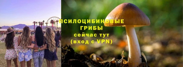 ешки Алексеевка