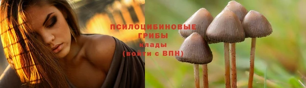 ПСИЛОЦИБИНОВЫЕ ГРИБЫ Алзамай