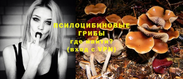 ешки Алексеевка