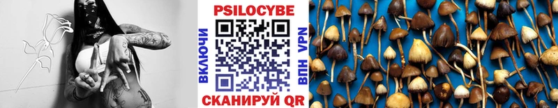 наркошоп  Наволоки  Псилоцибиновые грибы прущие грибы 