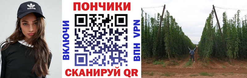 Бошки марихуана SATIVA & INDICA Наволоки